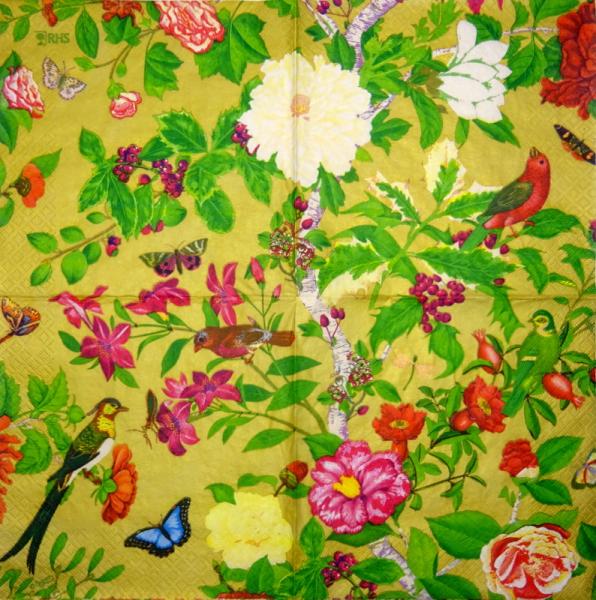 035 Vögel - 3-lagig - Ihr